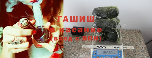 сатива Новодвинск