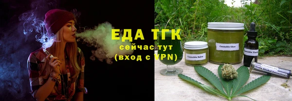 сатива Новодвинск