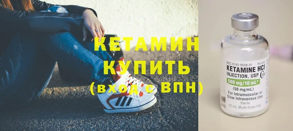 сатива Новодвинск