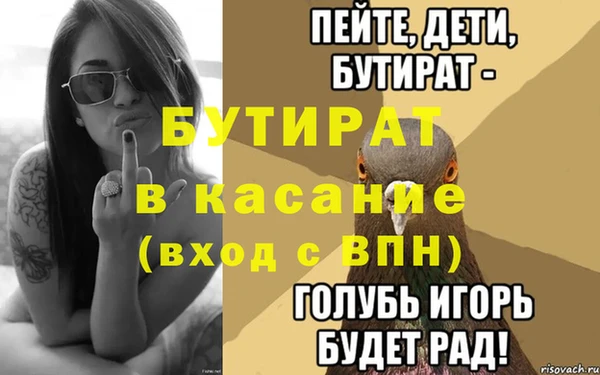 сатива Новодвинск