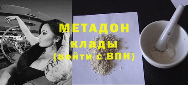 сатива Новодвинск