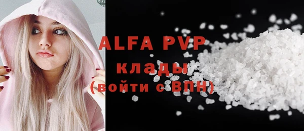 сатива Новодвинск