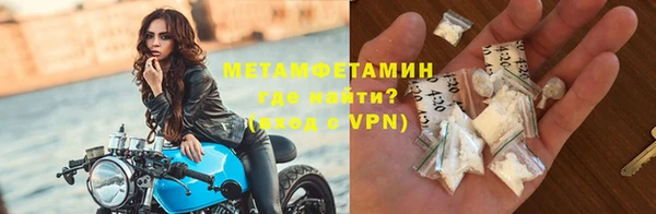сатива Новодвинск