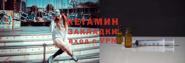сатива Новодвинск