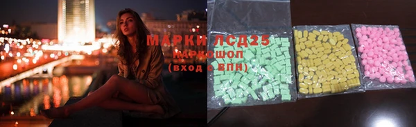 сатива Новодвинск