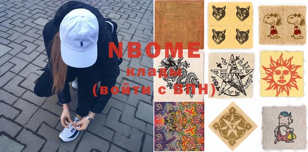 сатива Новодвинск