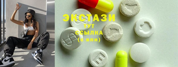 сатива Новодвинск
