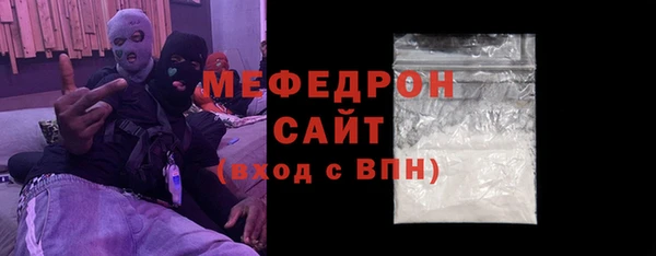 сатива Новодвинск