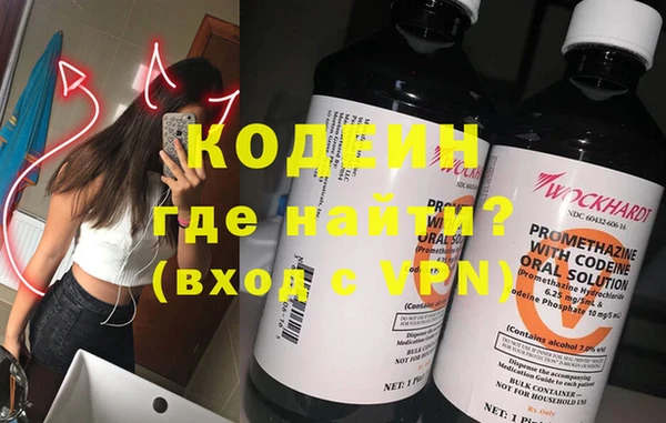сатива Новодвинск
