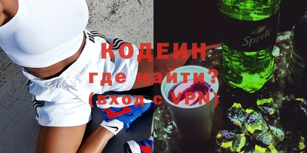 сатива Новодвинск