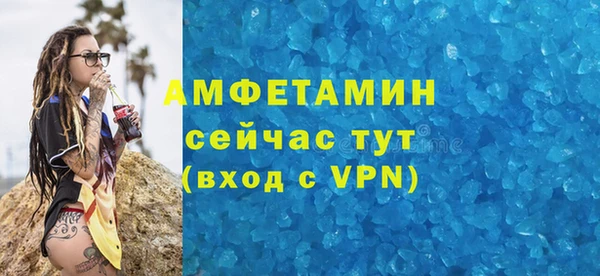 сатива Новодвинск