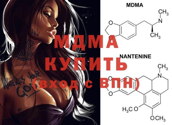 сатива Новодвинск