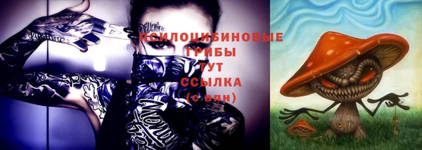 дурь Новозыбков
