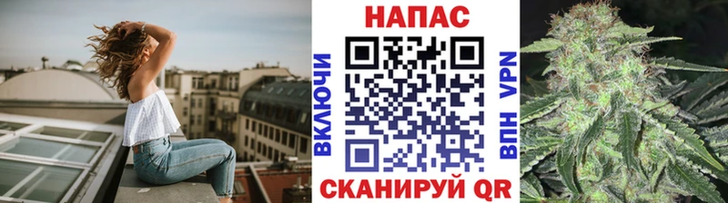 Бошки марихуана семена  Купить закладки  Махачкала 